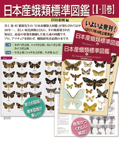 日本産蛾類標準図鑑 1（岸田泰則／編）』 販売ページ | 復刊ドットコム
