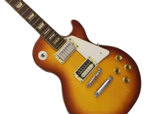 中国切手「揚子江カワイルカ」が伝える儚くも美しい命の物語｜切手買取