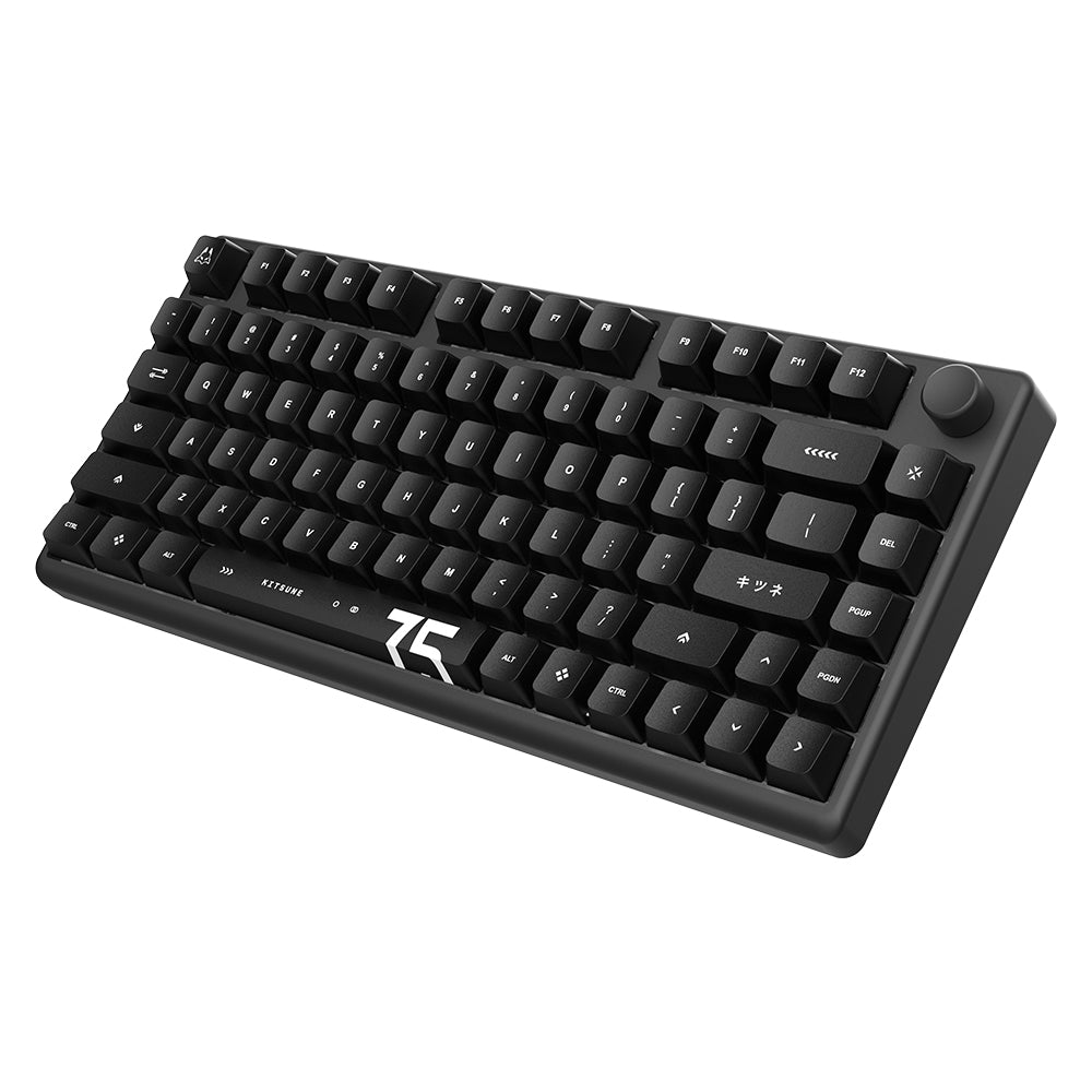 Arbiter Studio (アービタースタジオ) TENKO Polar 75 + 磁気