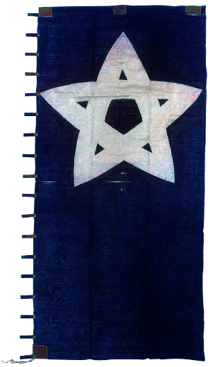 特別企画展】明治元年の日本と土佐 - 戊辰戦争それぞれの信義 -