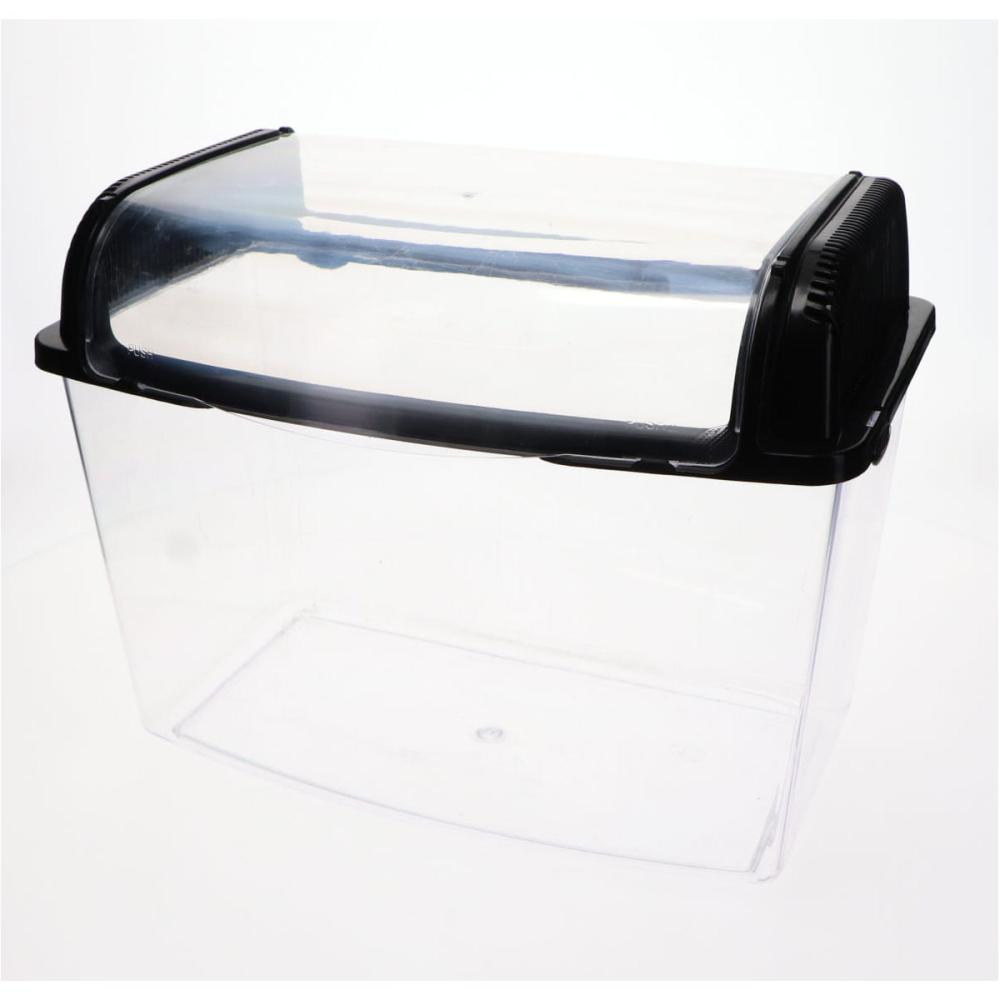 Petami 上から観察しやすい飼育ケース クリアルーフ 大 の通販