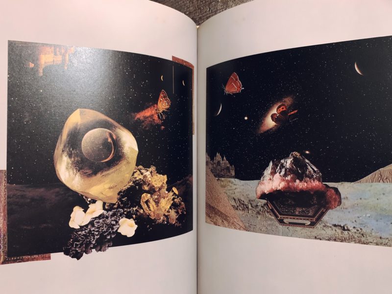 野中ユリ画集 妖精たちの森 ｜ 文・澁澤龍彦 ｜ 講談社 ｜ 美術・画集