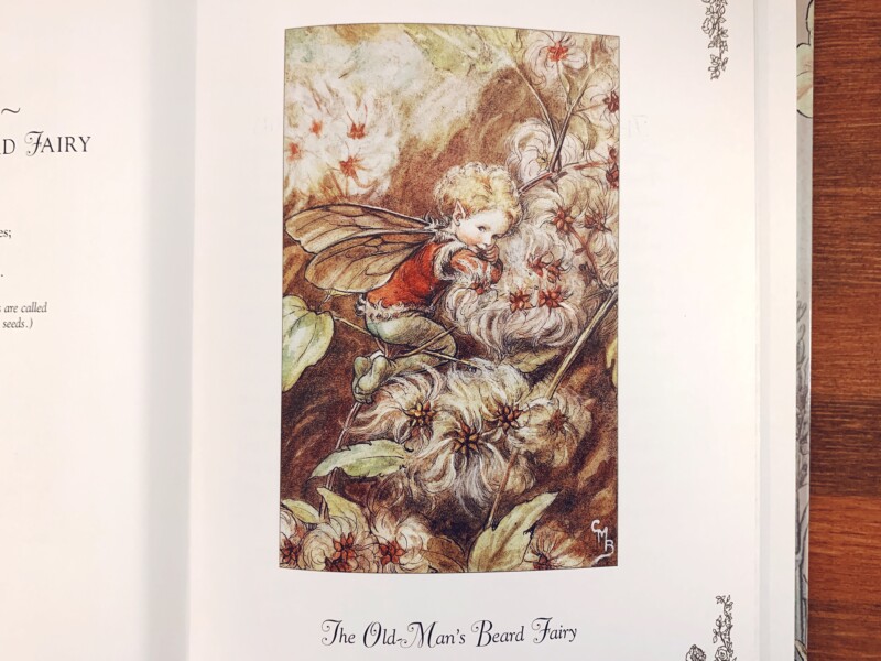 シシリー・メアリーバーカーの絵本 Cicely Mary Barker: A DELUXE BOOK