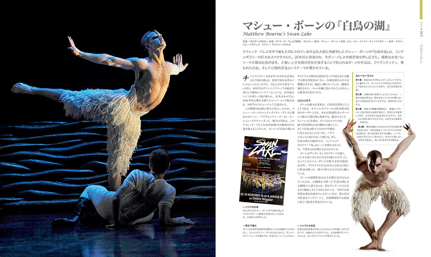 バレエ大図鑑 :ヴィヴィアナ・デュランテ,森 菜穂美 | 河出書房新社