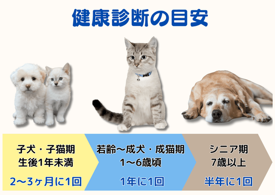 愛犬・愛猫の健康を守る！｜年齢別おすすめ健康診断ガイド - 相模原市