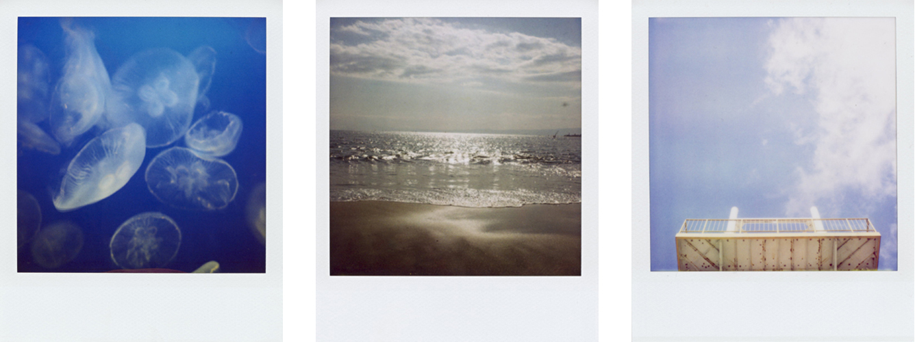 カメラマンがオススメするPolaroid SX-70 - ホームページ制作