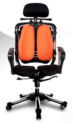 健康チェア ニーチェ【HARA CHAIR】