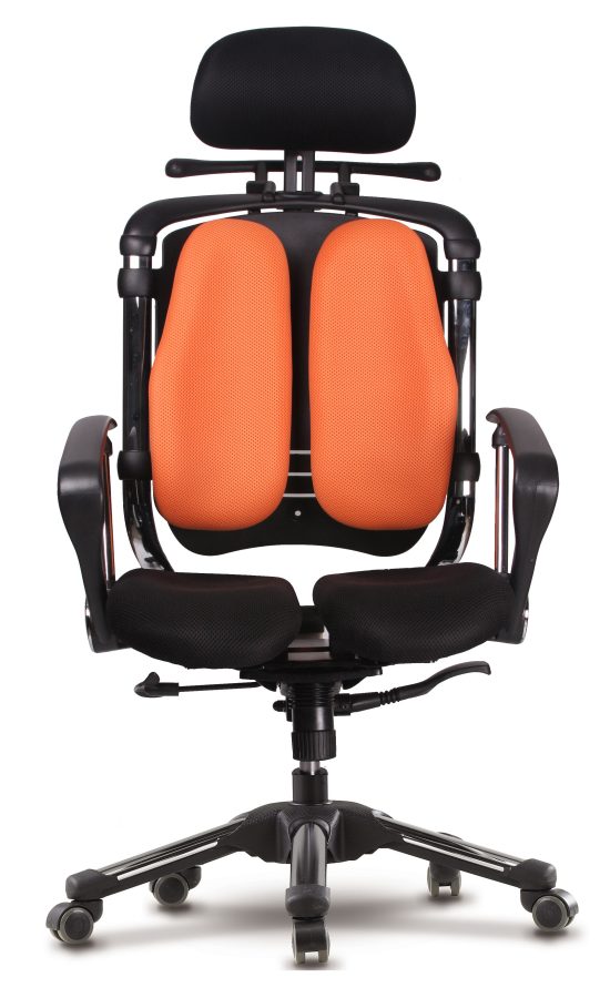 健康チェア ニーチェ【HARA CHAIR】