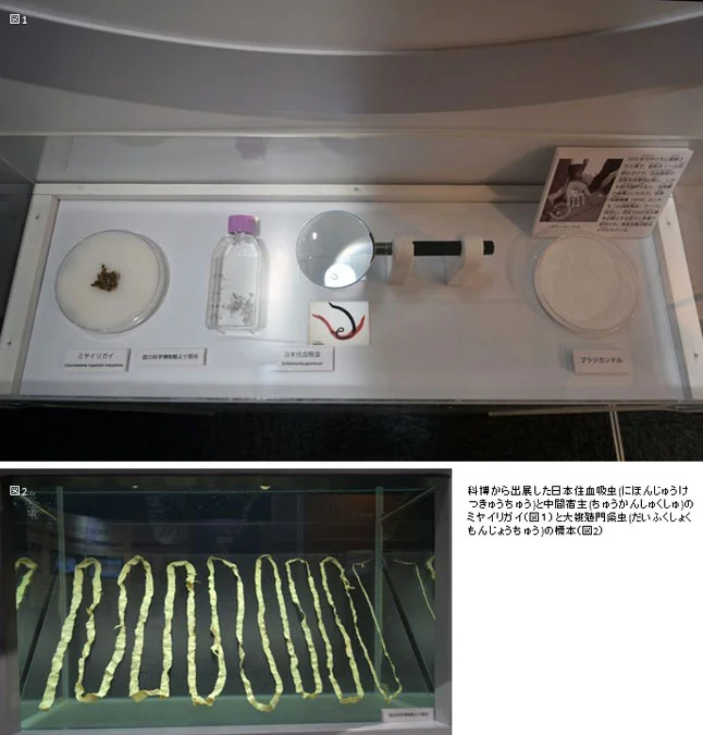 広域施設間における展示協力～寄生虫をテーマとした特別企画展(下関