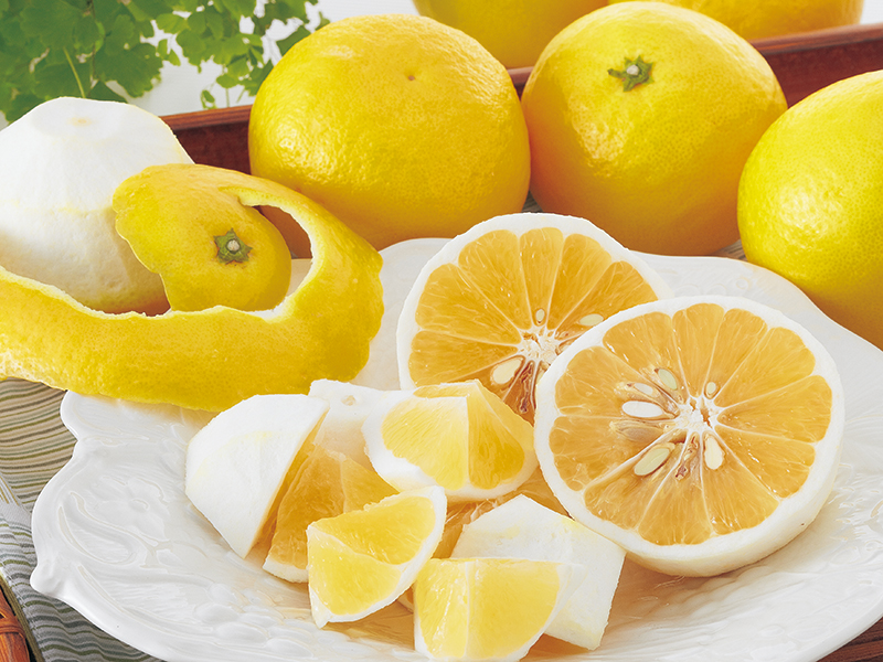 ニューサマーオレンジ | のま果樹園