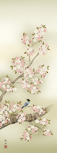 花鳥画 桜花に小鳥 長江桂舟 （春）尺五 【特価 】 日本製 春 - 掛け軸