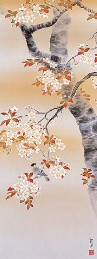 花鳥画 桜花に小鳥 近藤玄洋 （春）尺五 【特価 】 春 - 掛け軸（掛軸