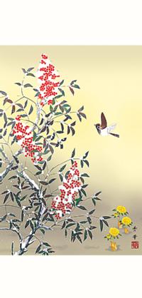 雪中南天 野川秀幸（尺五あんどん） 冬 - 掛け軸（掛軸）販売通販なら