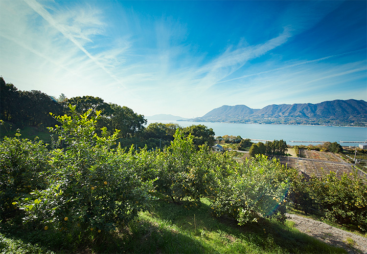 岩城島 | 瀬戸内かみじまトリップ-上島町観光ガイド | 上島町公式観光