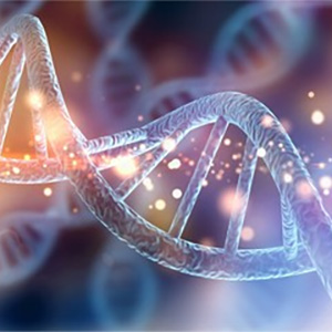 神様の水素｜商品案内｜水素関連サプリメントなら感謝株式会社へ。皆様