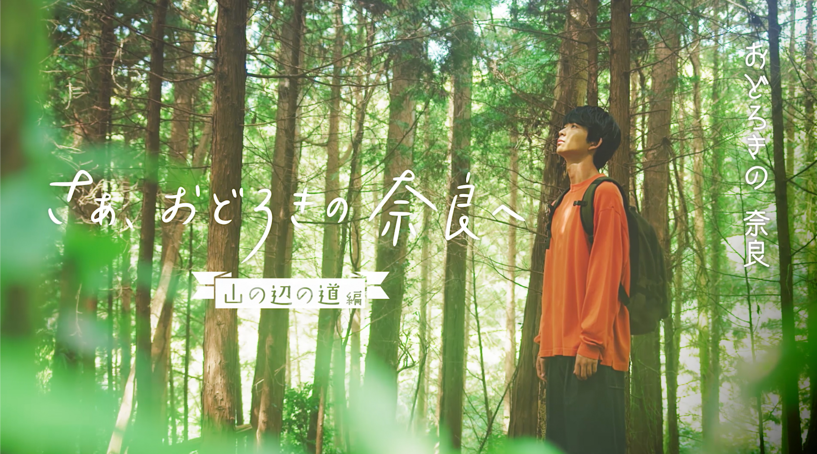 JR東海 「うましうるわし奈良」 | KANZAN | 広告制作