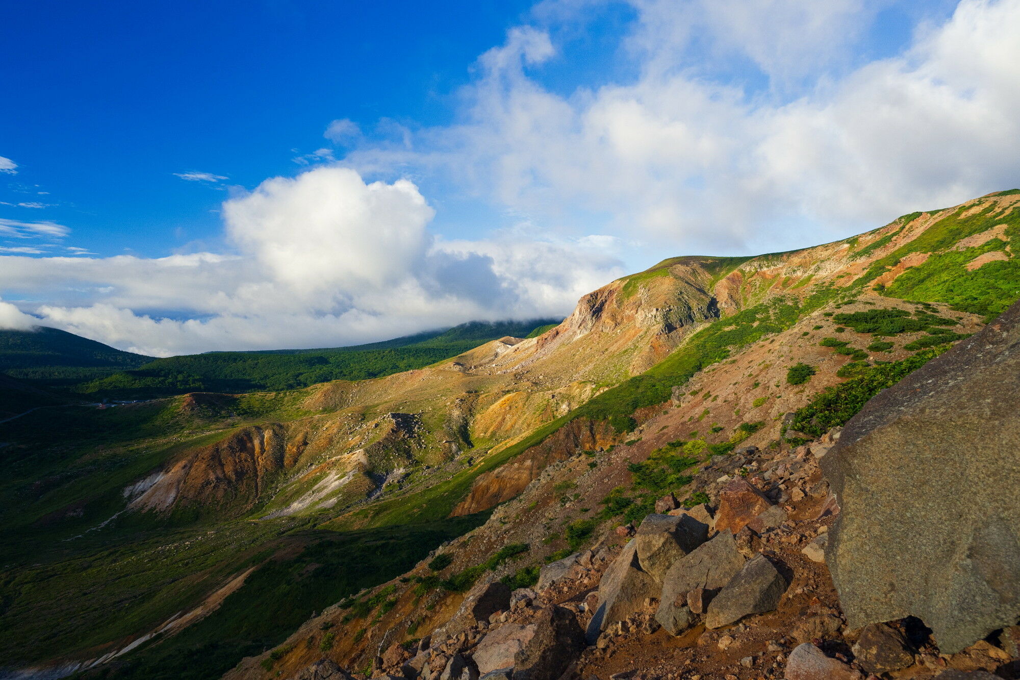 ZX C-PL N | ケンコー・トキナー