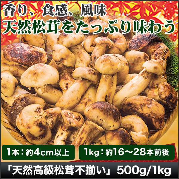 訳アリ超特価】「天然高級松茸不揃い」有名旅館・料理店で採用！味は