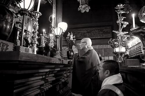 掛軸-1544 天台座主 半田孝淳 「草色酔蜻蜒」 掛軸-1544 天台座主 半田