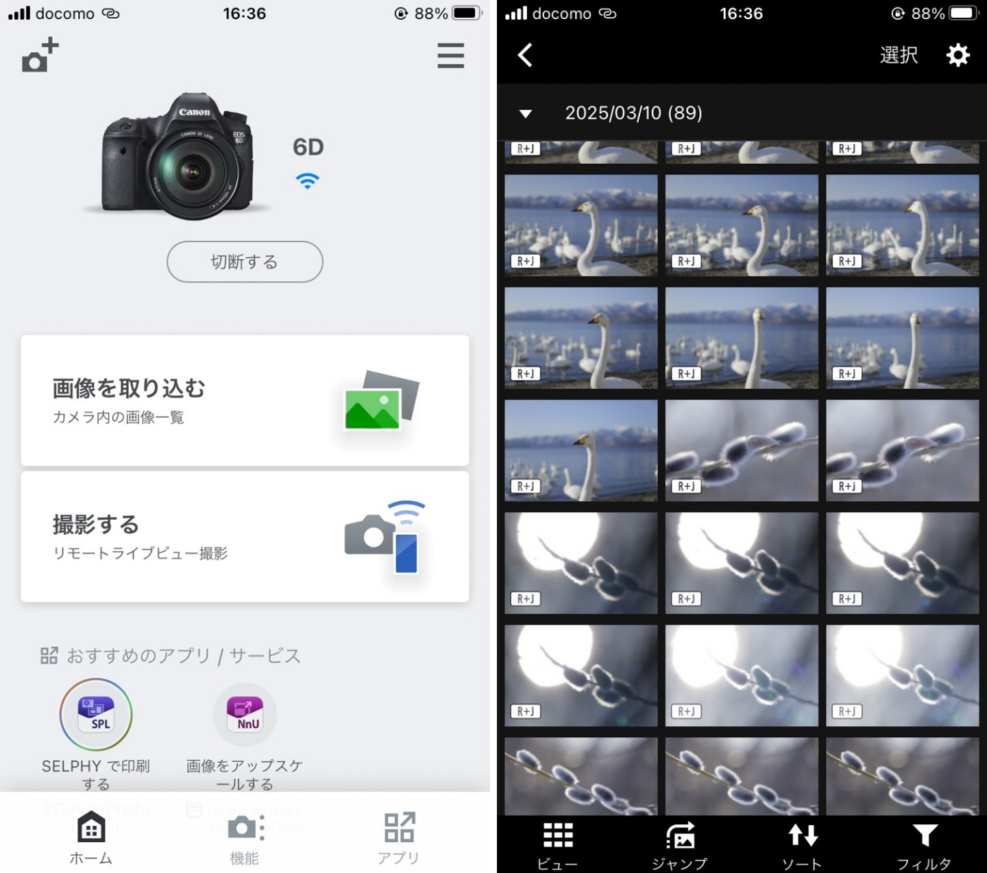 ネイチャースナップのすすめ｜旧モデルで始める一眼レフ キヤノン EOS