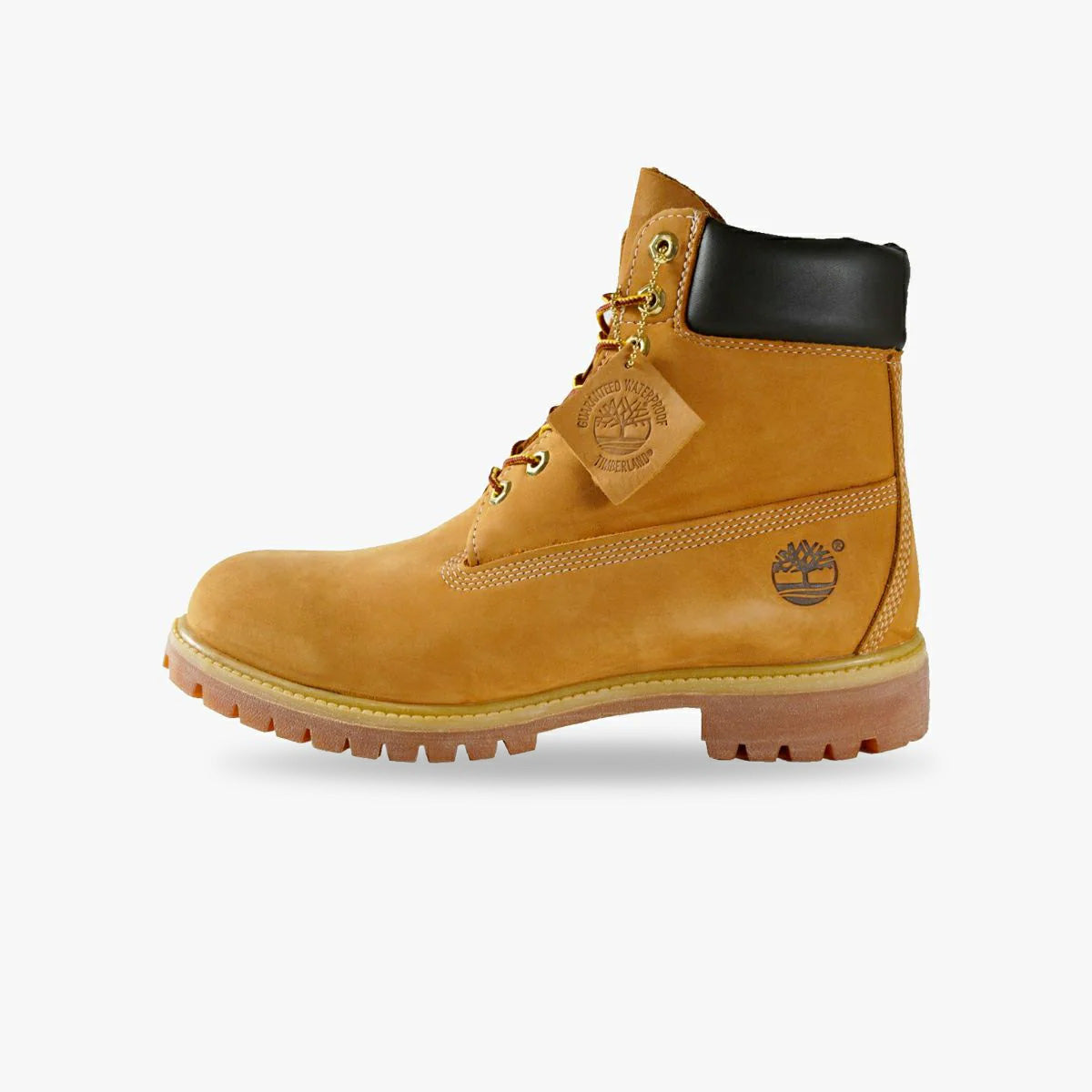 TIMBERLAND 6inch PREMIUM WP BOOT 10061 – KICKS LAB.
