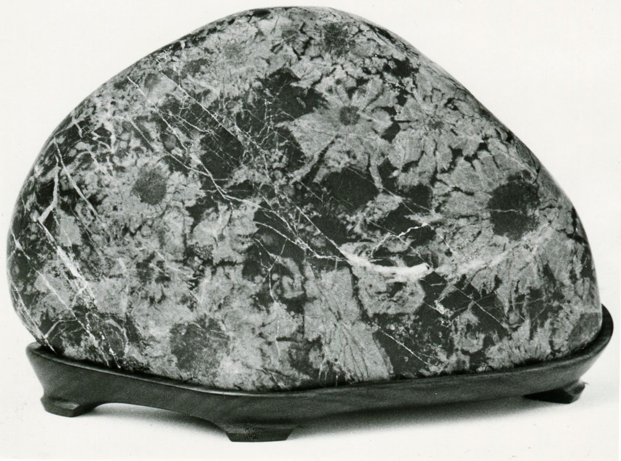 菊花石コレクション 石原コレクション 1