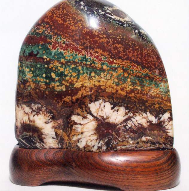 菊花石 花の種類 花の色彩 母岩の色彩