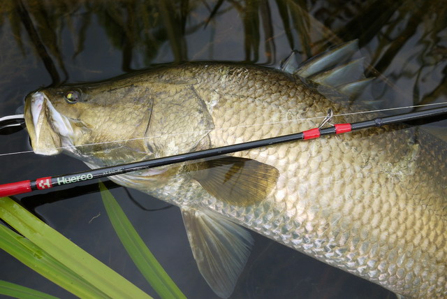 Huerco（フエルコ） XT 510-4C 【シーバスルアー専門店 キング