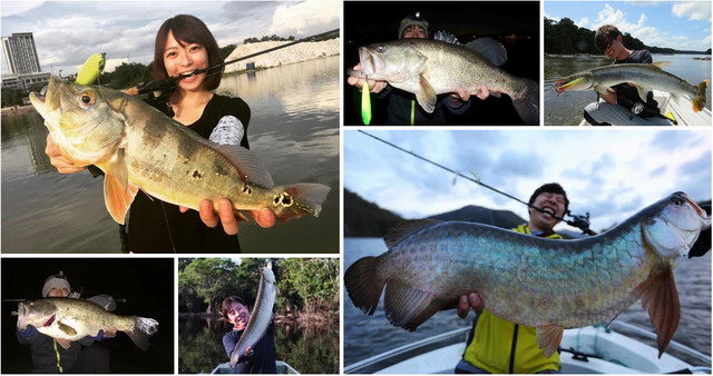 トランスセンデンス プルクラ62B 25 【シーバスルアー専門店 キング