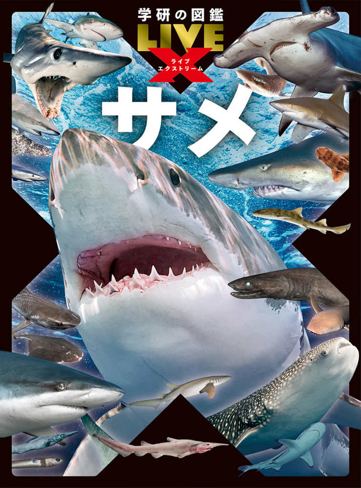 サメ / アクアワールド茨城県大洗水族館 - 紀伊國屋書店ウェブストア
