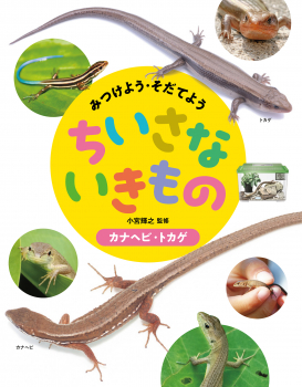 カナヘビ・トカゲ (みつけよう・そだてよう ちいさないきもの) ：小宮