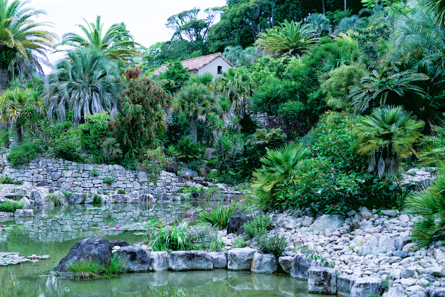 ボルディゲラの庭 – 北川村「モネの庭」マルモッタン