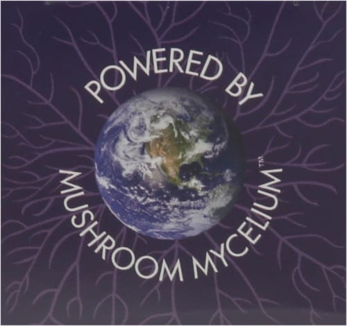 Host Defense® Mushrooms™ Mycobotanicals® Brain Capsules, 60 ct