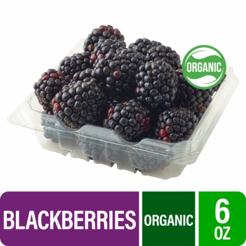Fresh Blackberries - 6 OZ Clamshell, 6 oz - Kroger