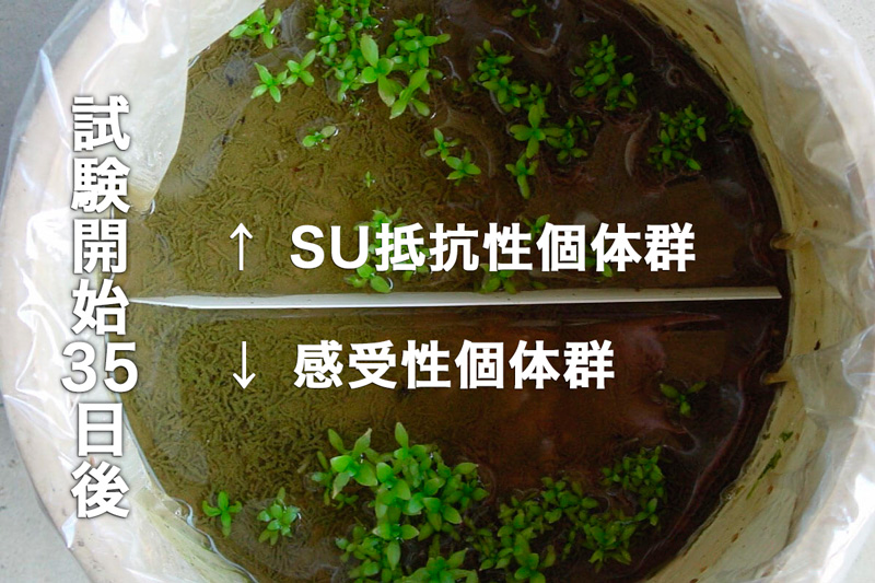 4つの特長 | 協友アグリ