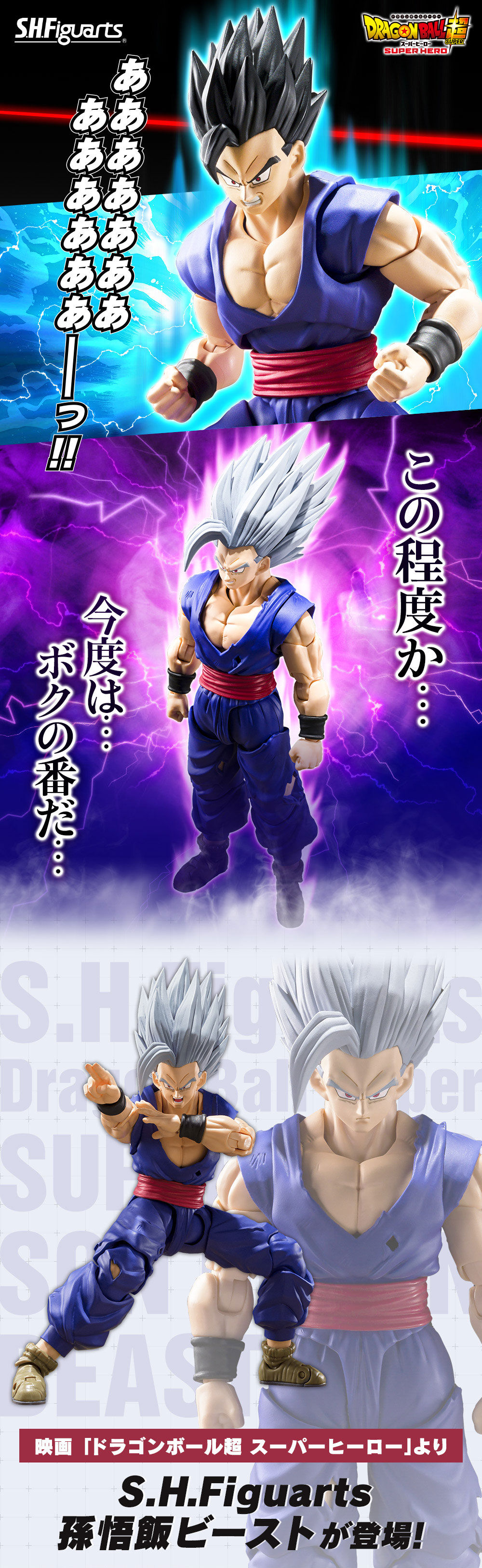 Bandai S.H.Figuarts Tamashii Web Shop Exclusive Action Figure