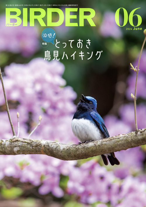 BIRDER 2024年1月号～ Hobby's World｜野鳥撮影やバードウォッチングの