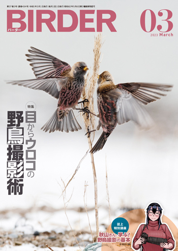 BIRDER 2023年1月号～ Hobby's World｜野鳥撮影やバードウォッチングの