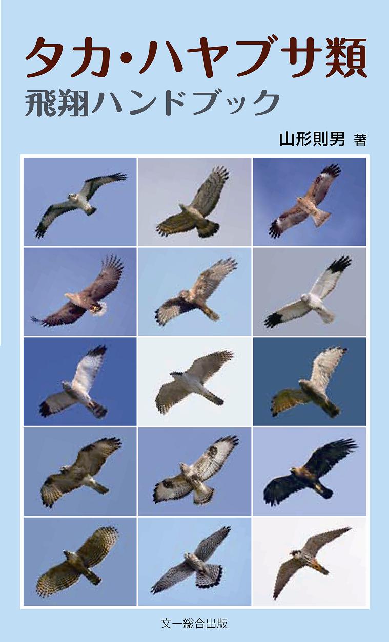 タカ・ハヤブサ類 飛翔ハンドブック Hobby's World｜野鳥撮影やバード