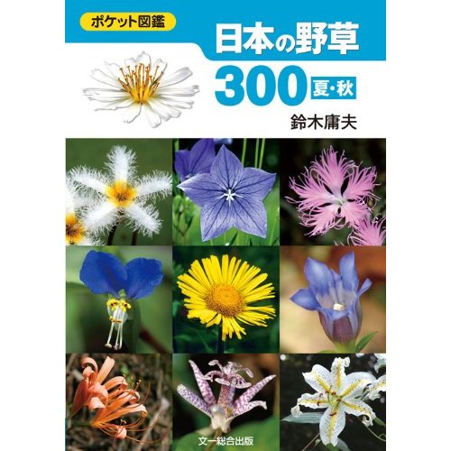 ポケット図鑑 日本の野草300 夏・秋 Hobby's World｜野鳥撮影やバード