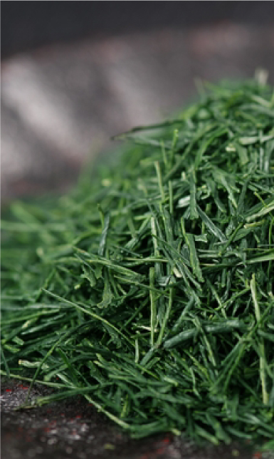 Japan Green Tea - 星が降り注ぐ村で育む｜株式会社星野製茶園