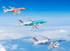 ハワイに就航！ANA エアバスA380型機「フライングホヌ FLYING HONU」