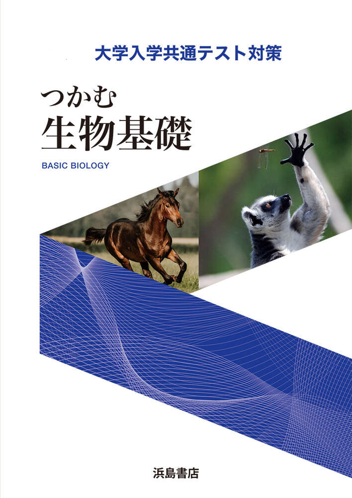 生物 新課程版2025 問題集デジタルデータDVD 楽天市場】2025年度用 新
