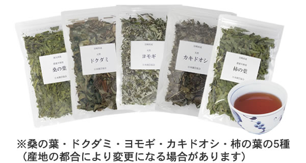 受講申込 - 薬草ガーデン講座
