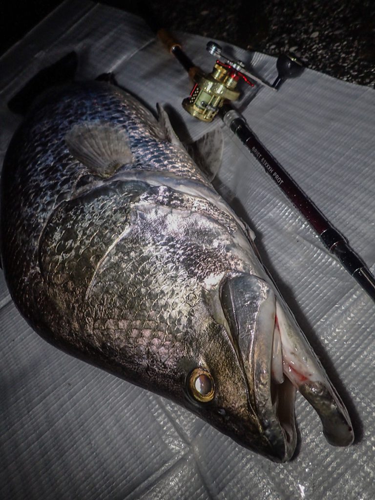 Fishman/フィッシュマン】BRIST comodo 8.3XXXXH - リールチューニング