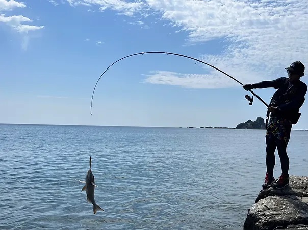 TRANSCENDENCE] Mareflipp 102S (Rod)