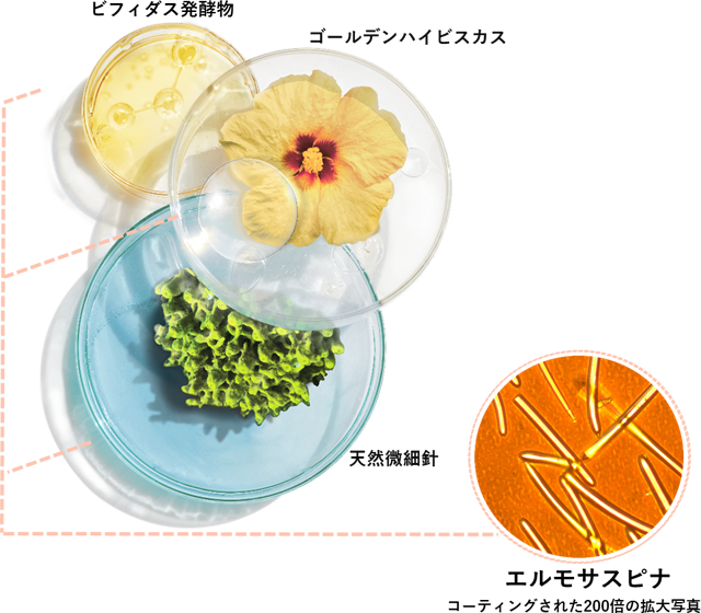 HERMOSA｜Derma THE FIRST Spina Absolute