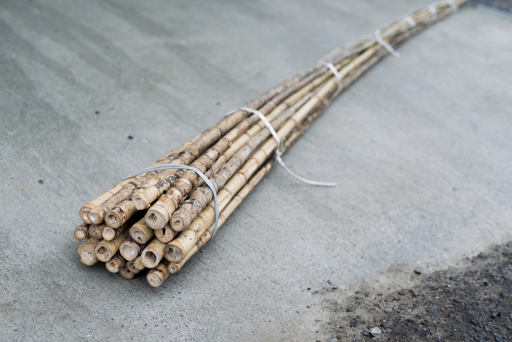 涸沼 釣りと釣り竿 | ラムサール条約登録湿地 涸沼