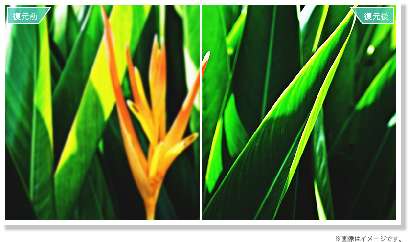 その他の高画質機能 | 55U75F | ハイセンスジャパン株式会社