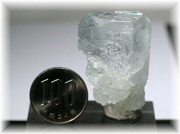 パキスタン/シガーバレー産]天然アクアマリン結晶原石 - 埼玉県吉川市